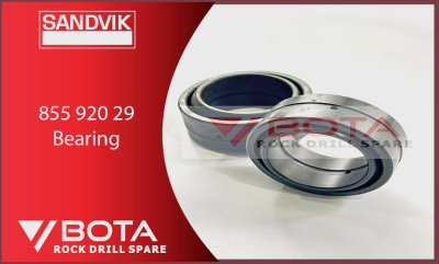 855 920 29-Bearing