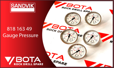 818 163 49-Gauge Pressure